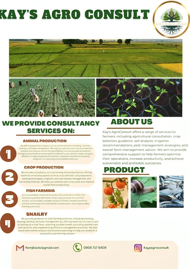 Layout Design for Kays Agro