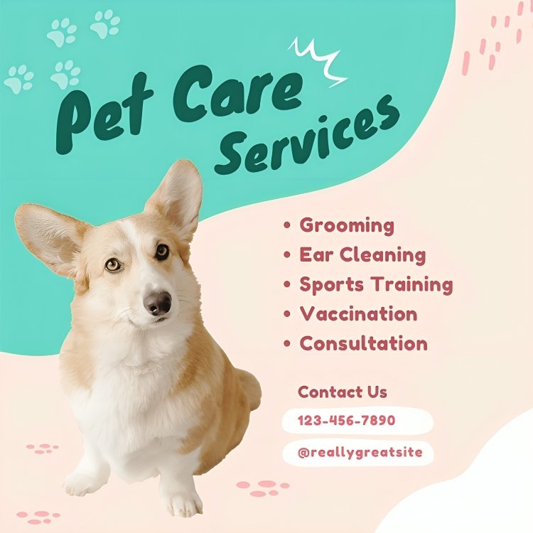 Pet Care Service Branding