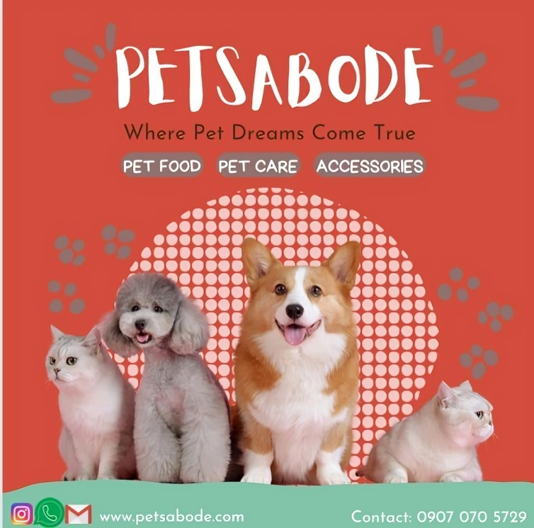 Pet Adoption Branding