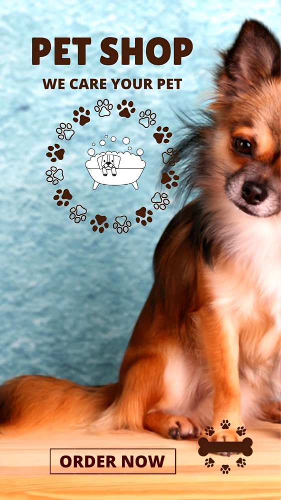 Pet Adoption Branding